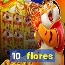 10 flores silvestres da regi o sudeste